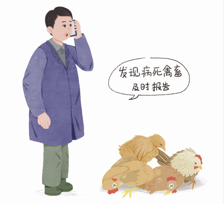 一起了解“全國愛國衛(wèi)生運動月”-昭通李景鏵中醫(yī)骨傷醫(yī)院